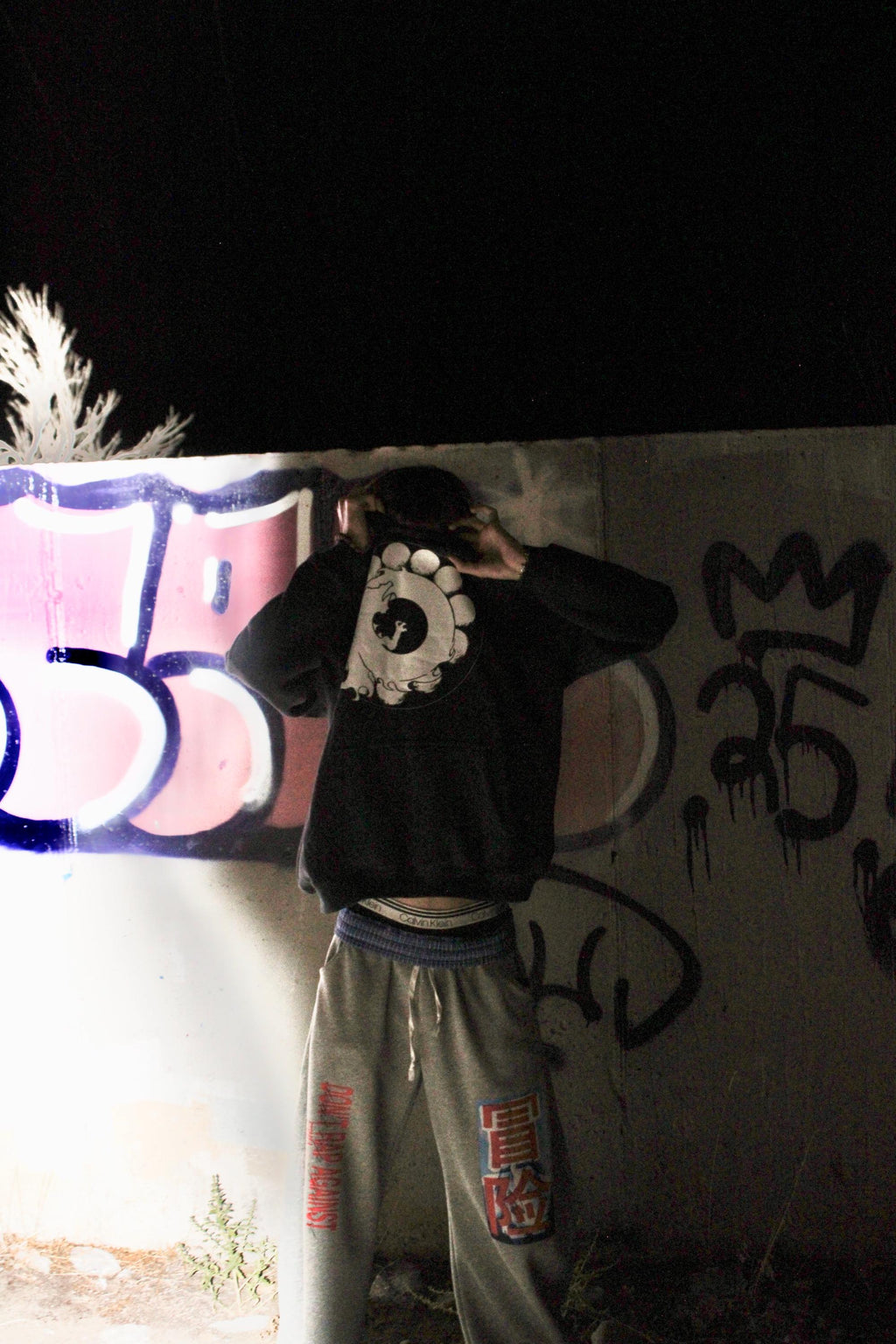 Painted Drye ring hoodie